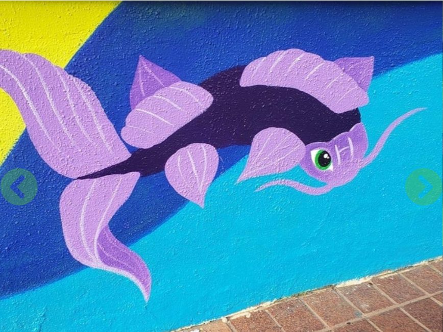 purple koi fish
